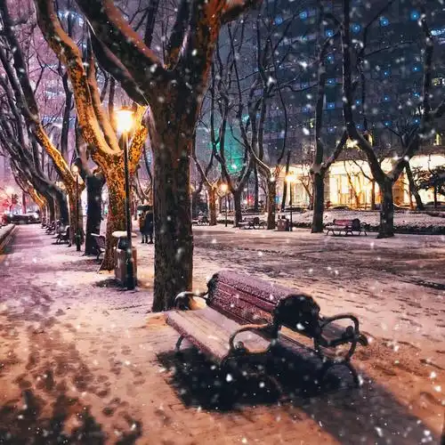 魔都昨晚雪夜景