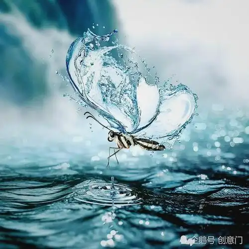 视觉艺术摄影作品欣赏