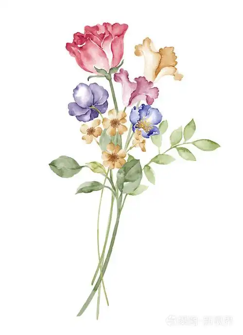 简单的白色背景的水彩插图花