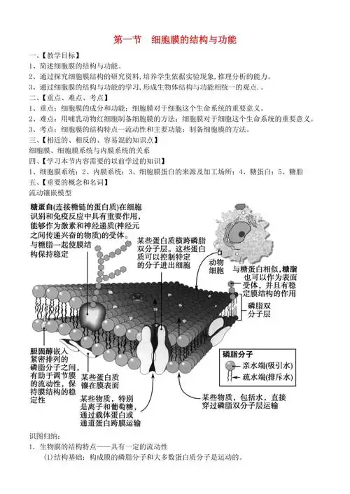 高中生物第一章第一节细胞膜的结构和功能教案中图版必修1