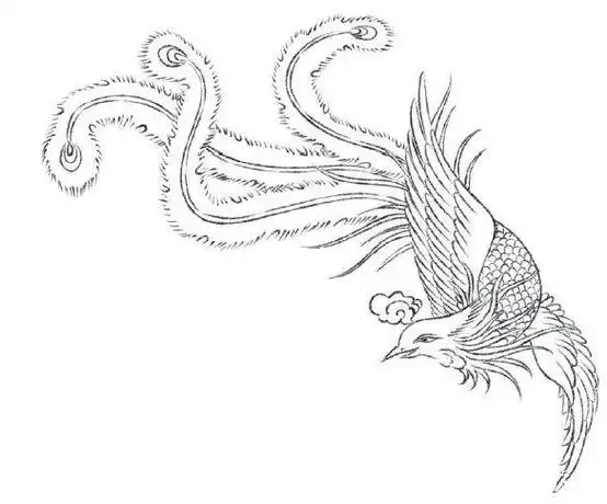 凤凰简笔画大全 简笔画怎么画