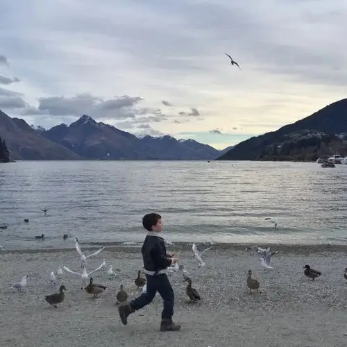 微信封面 追着鸽子的小男孩