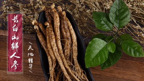 长白山 鲜土人参林下参 2017 带土人参 泡酒煲汤山参 50条包邮