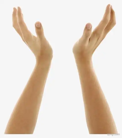 托举的双手png素材透明免抠图片-动植人物