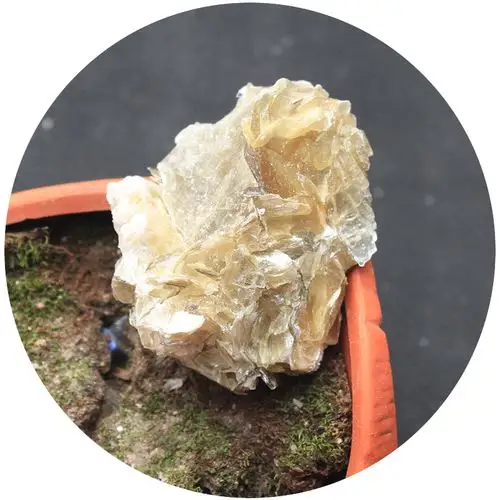 易晶缘水晶天然金云母原石摆件块状标本石矿石奇石