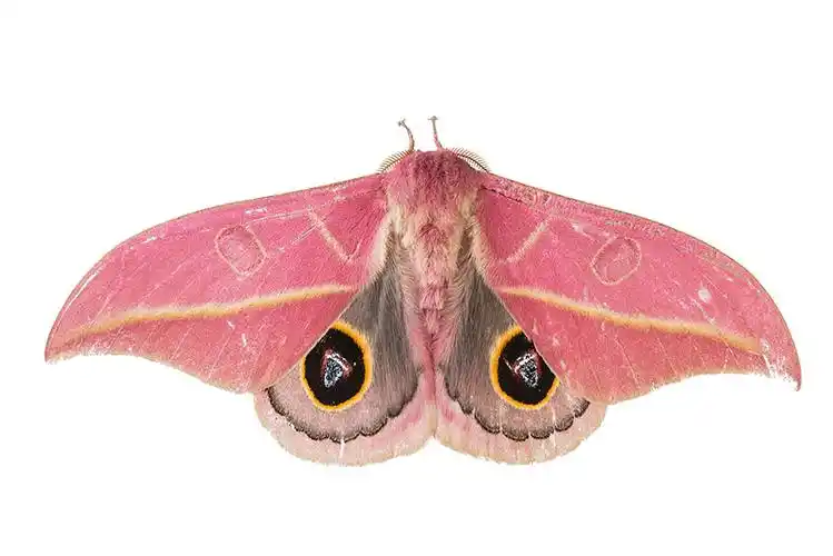 qj7227345737_全景网