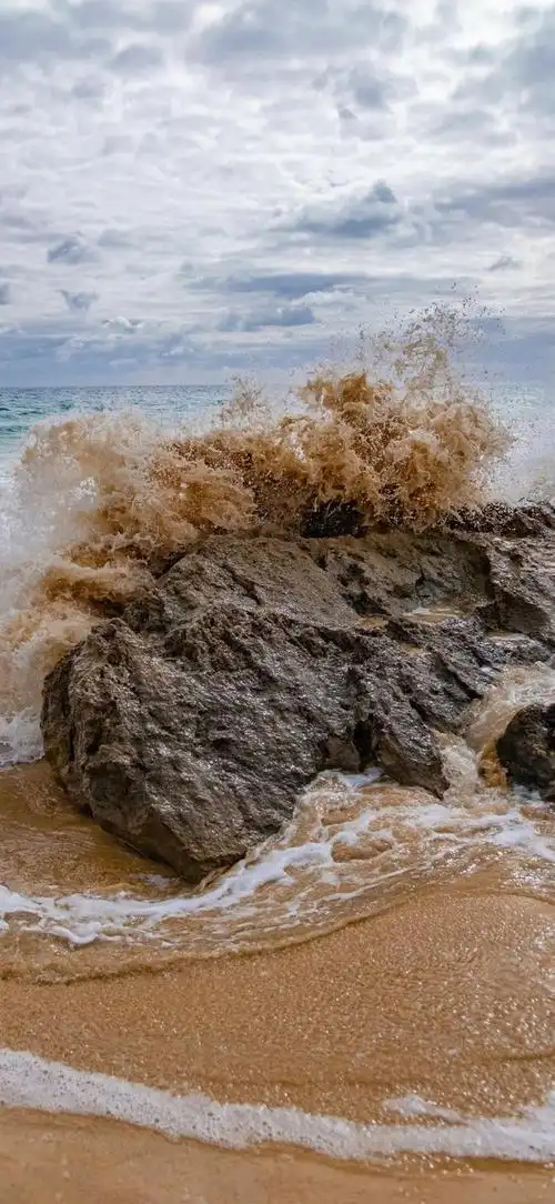 壁纸 桌面 660_1431 竖版 竖屏 手机