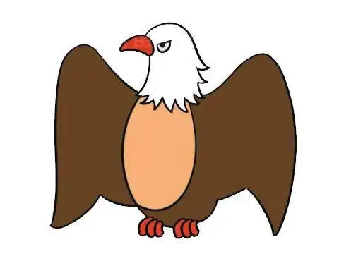 彩色老鹰简笔画可爱