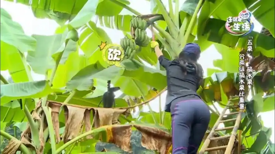 女星牛仔裤之韩雪(身材是真绝)