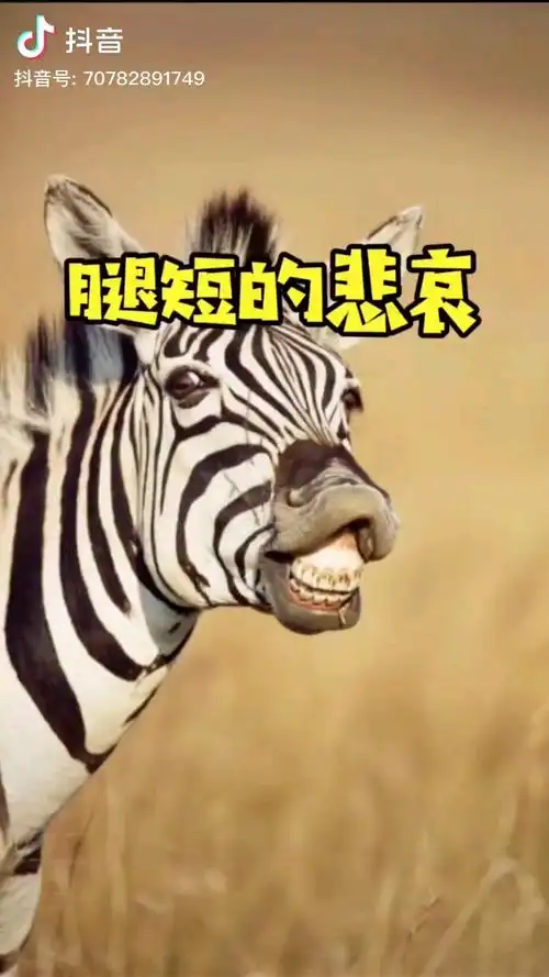 这才叫真跳起来打你膝盖