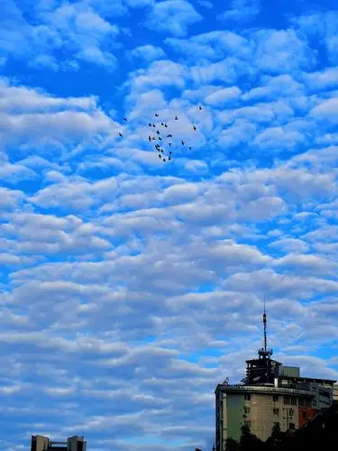 久雨初晴艳阳天