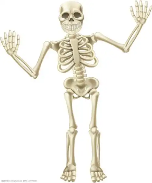 关键词:可爱的骷颅骨头矢量素材 卡通 手绘 骨头 骷颅 矮小