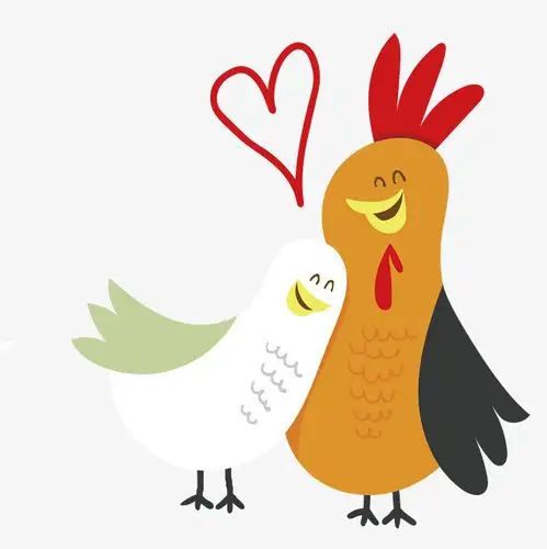 扁平化抽奖扁平化卡通设计公鸡母鸡