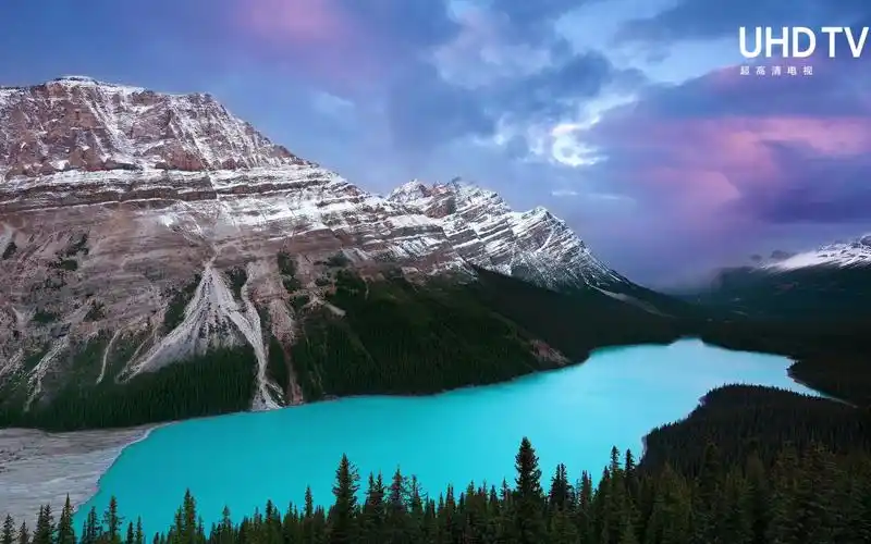 4k系列超高清电视 演示片 - 仙境_哔哩哔哩_bilibili