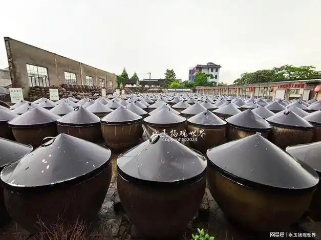 漫步其中,透过窗户可以看到日照恒温晒酱室中整齐排列的大酱缸,那一幕