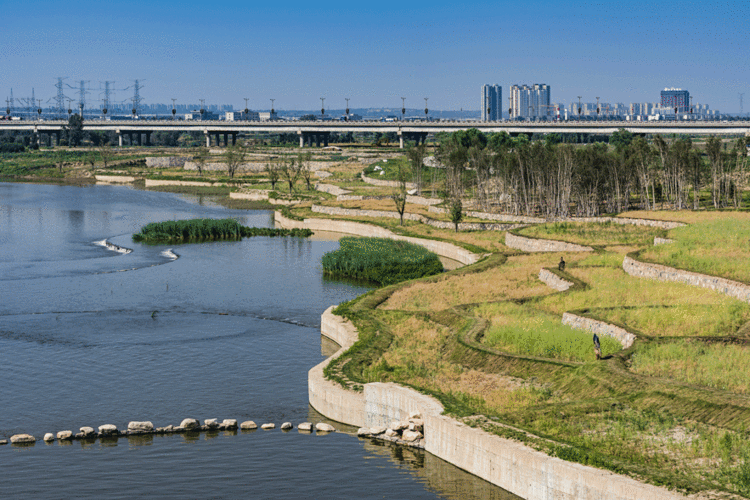 西咸新区沣河综合治理景观绿化工程设计已建成