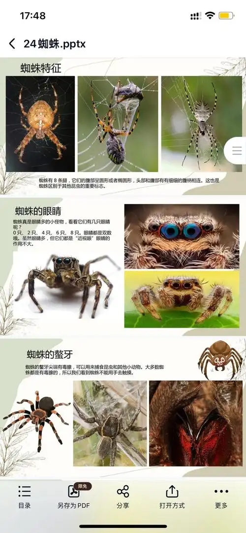 蜘蛛不属于昆虫,蜘蛛的特征,蜘蛛的螯牙