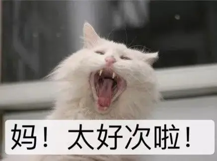 好吃到面目全非模糊搭配金黄酥脆的麦乐鸡一口咬下蘸最诱人的网红酱