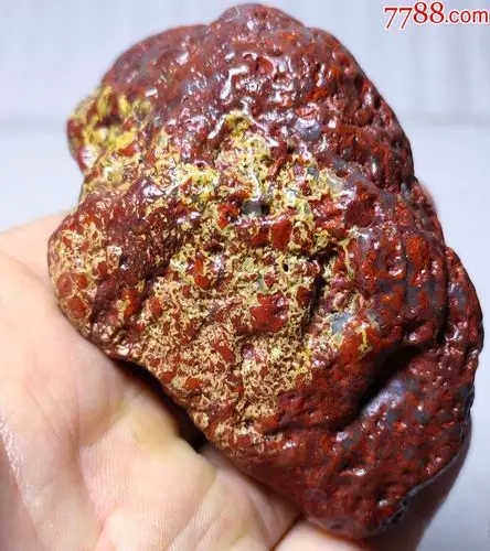 4125新疆哈密红花伊丁天宝石陨石陨铁229克