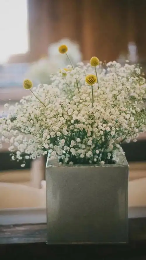 粉色满天星花语,粉红满天星花语是什么(唯美满天星手机壁纸)