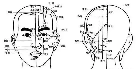 以大脑皮质功能的结合中医学的肮脏经络理论而确定头部的反射区,通过