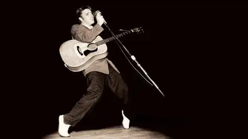 "猫王"埃尔维斯·普雷斯利前十歌曲