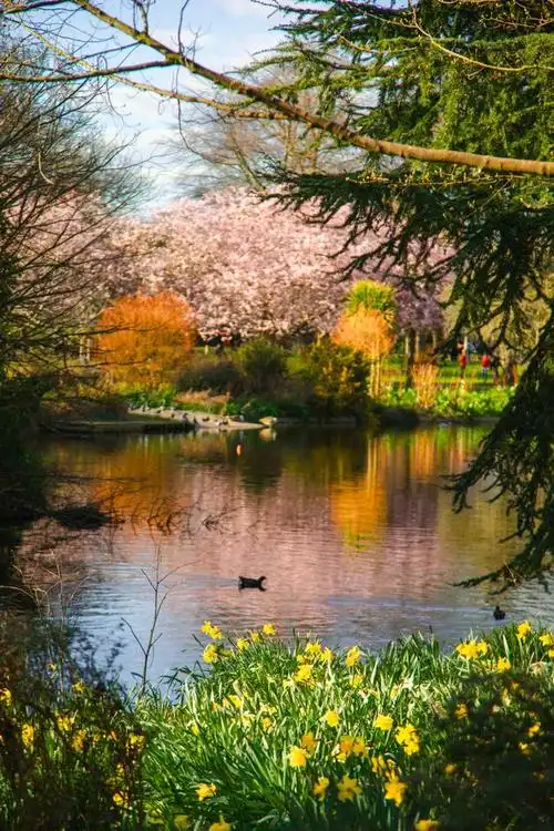 《春天的景色》六年级/初中春日美景作文13篇