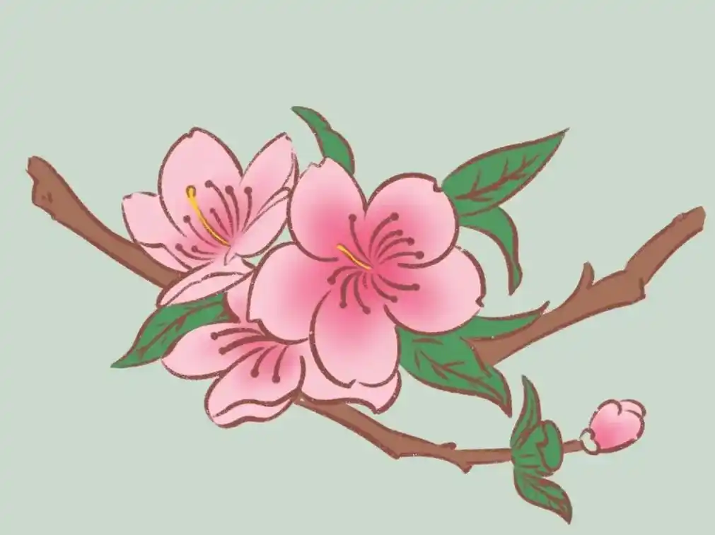 可爱简笔画【含教程】春天来了,桃花开了 #简笔画教程 - 抖音