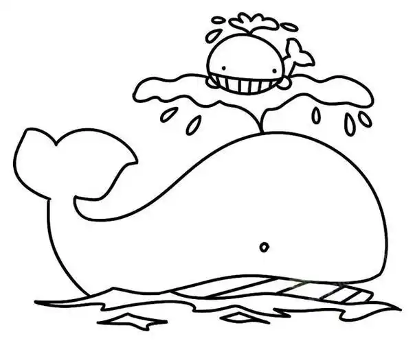 保护水中动物的简笔画