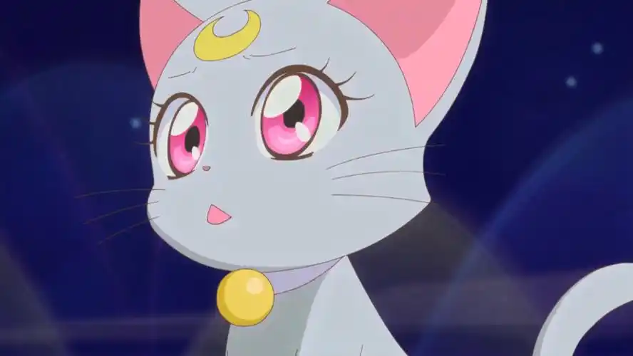 《美少女战士》戴安娜