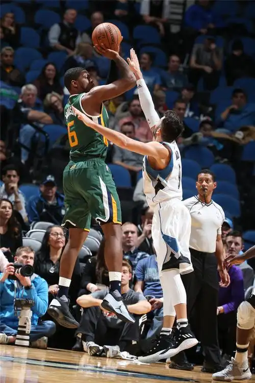 乔-约翰逊跳投.