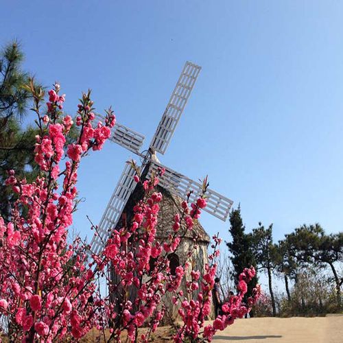 南安香草世界门票大门福建泉州国内票务