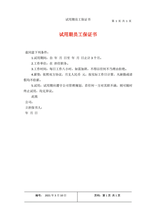 试用期员工保证书.docx 1页