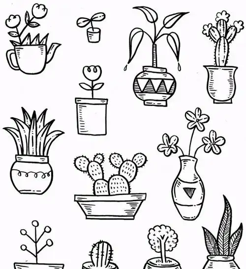 简单好看的边框【边框装饰简单又漂亮 可爱】