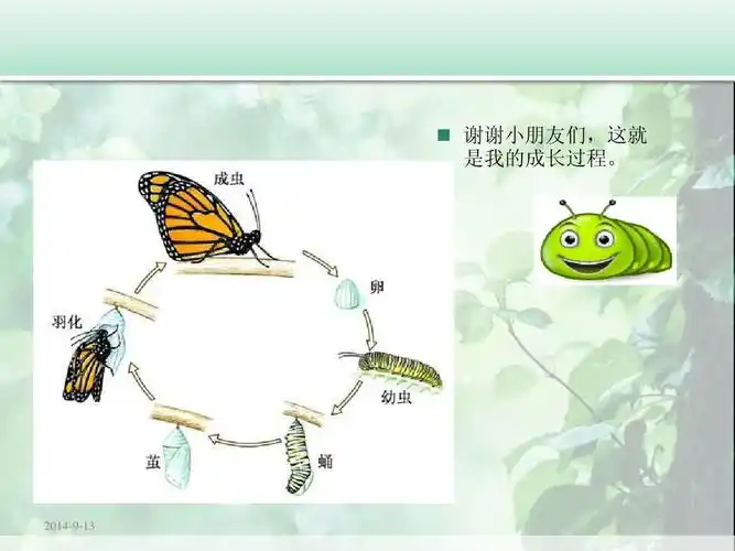 幼儿教育 毛毛虫的演变过程ppt   谢谢小朋友们,这就 是我的成长过程