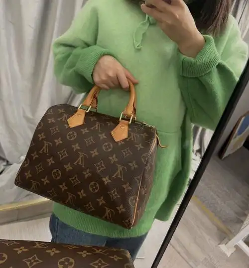 路易威登lvspeedy25老花手提枕头包