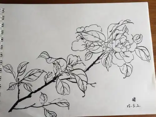 记号笔的简笔画