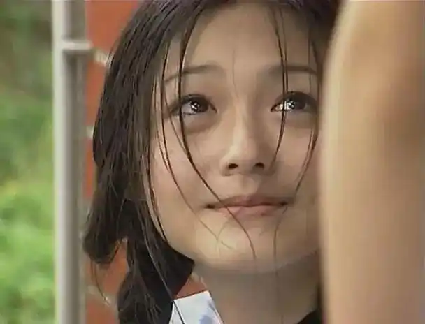 "流星花园绿茶婊"杉菜凭什么成了一代人的回忆?_网易订阅