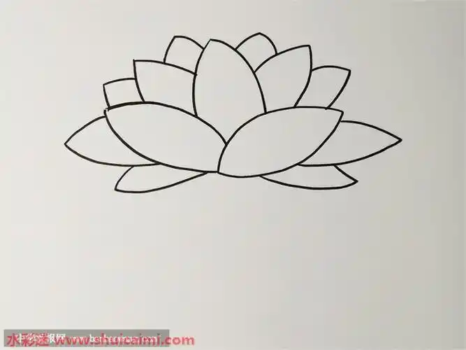 荷花简笔画的画法步骤图解