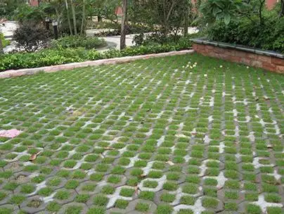 在进行公园人行道建设时如何选择彩色透水砖?