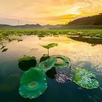 初夏渲染寂寞头像控_微信头像图片大全