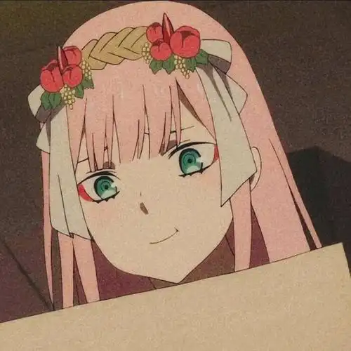 国家队darlinginthefranxx02ゼロツー头像