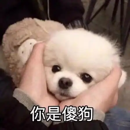 领取表情包,让你的聊天更生动!