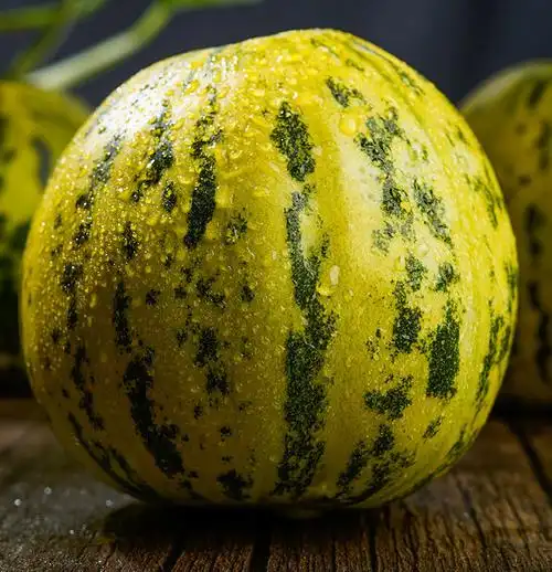 八里香甜瓜花蕾甜瓜超甜新鲜现摘应季水果整箱甜香2斤尝鲜装