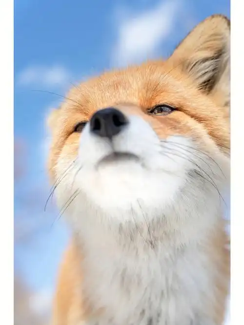 腾龙超长变焦镜头50400mmf4563开启预售