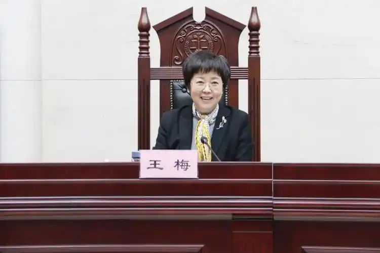 政法委副书记王梅向法院干警宣讲十九届六中全会精神