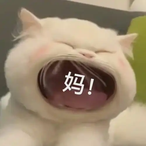 妈大嘴猫猫咪表情包