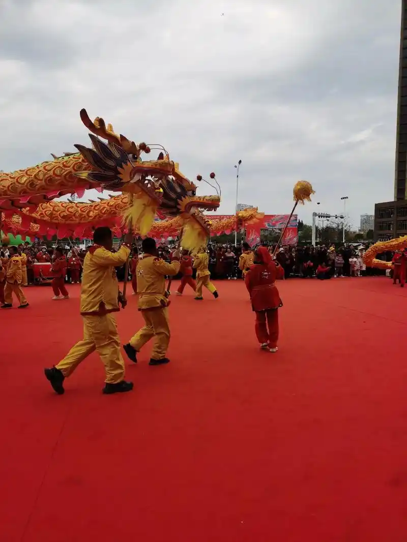 春节舞龙 #这就是年味 #民俗文化 #民族特色民族文化 # - 抖音