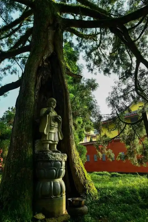 赛事推荐丨2024年福建闽侯雪峰山城自行车爬坡赛--火热报名中