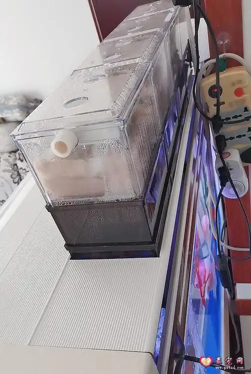 百赞牌滴流过滤盒滴滤系统怎么样鱼友使用百赞滴流盒使用效果评测